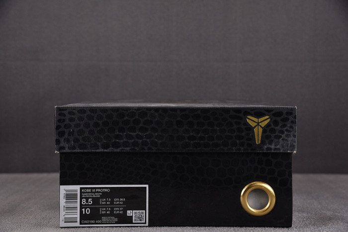 Nike Kobe 6 Protro Dodgers  CW2190-400