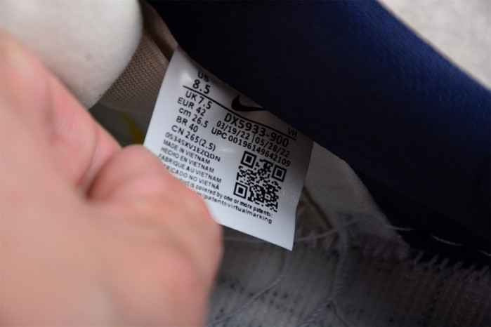 Nike Dunk SB Low Bettie DX5933-900