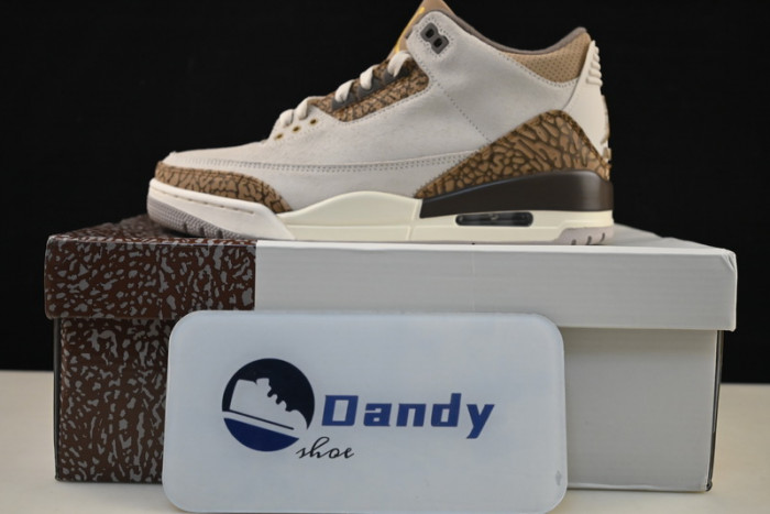Air Jordan 3 “Palomino” CT8532-102