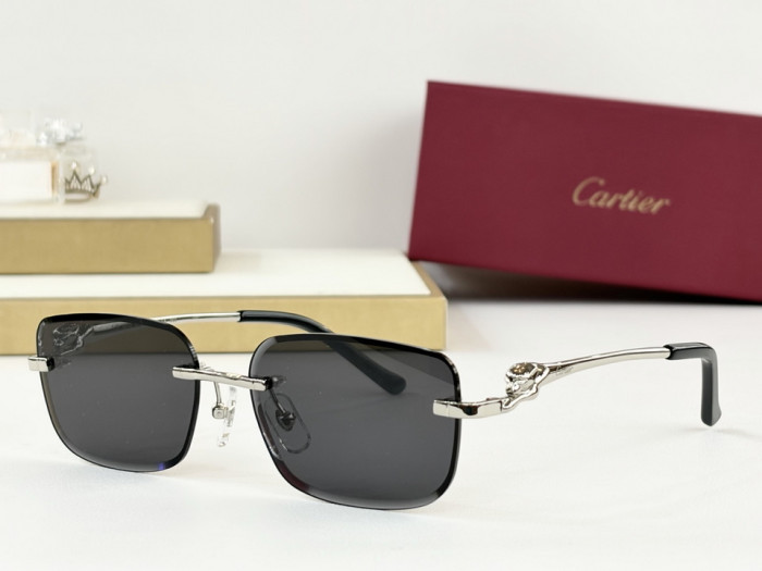 CA SUNGLASSES