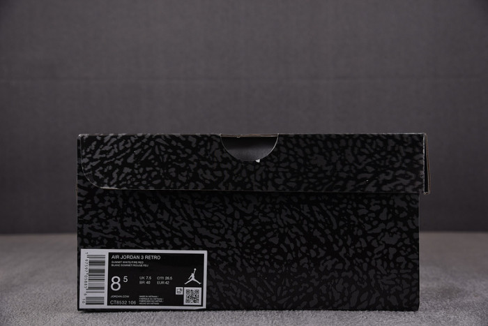 Air Jordan 3 "Cement Grey" CT8532-106