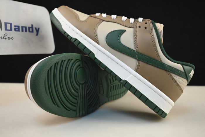 Nike Dunk Low Retro FB7160-231