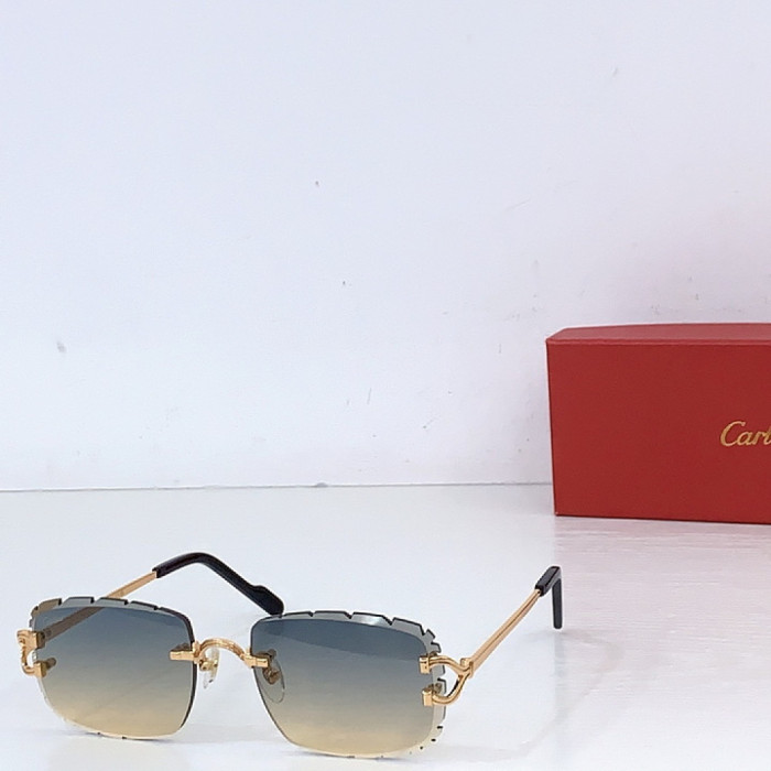 CA SUNGLASSES