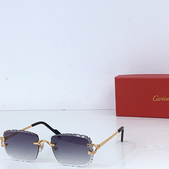 CA SUNGLASSES