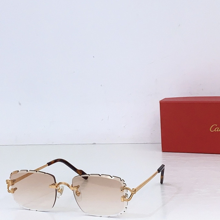 CA SUNGLASSES