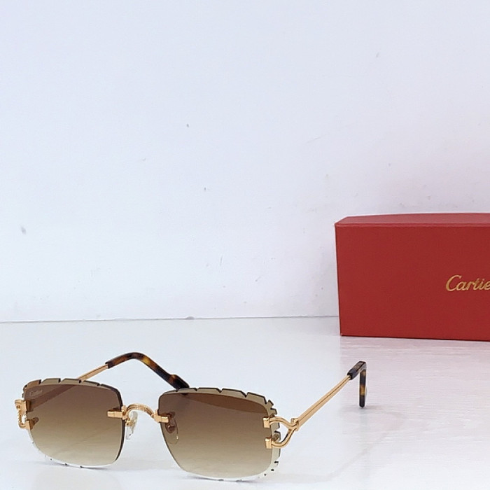 CA SUNGLASSES