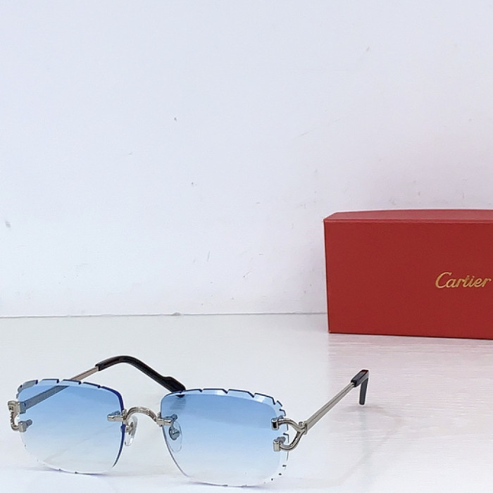CA SUNGLASSES