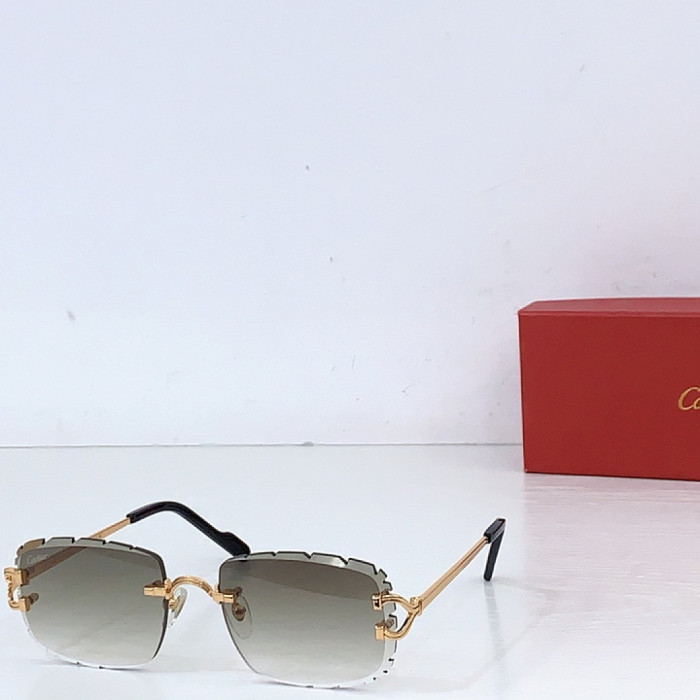 CA SUNGLASSES
