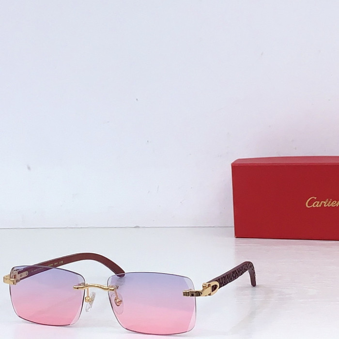 CA SUNGLASSES