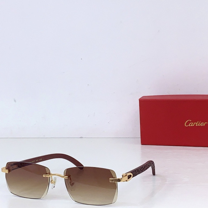 CA SUNGLASSES