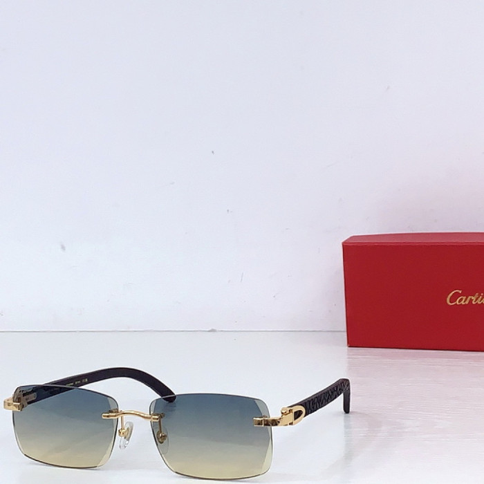 CA SUNGLASSES