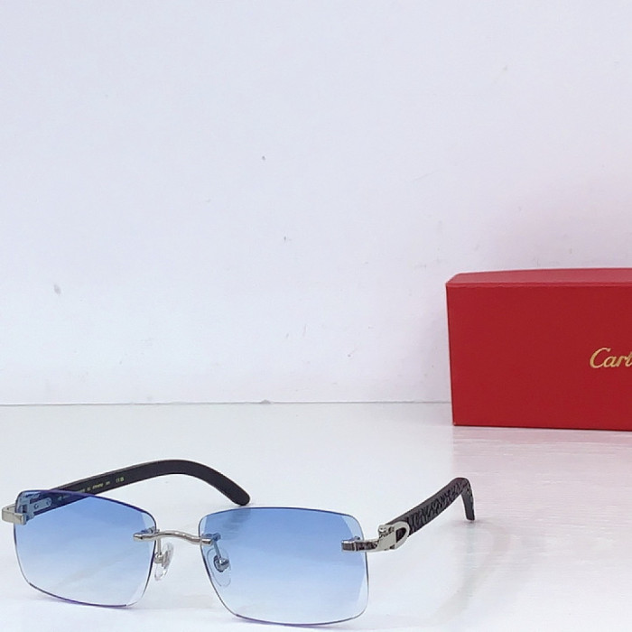 CA SUNGLASSES