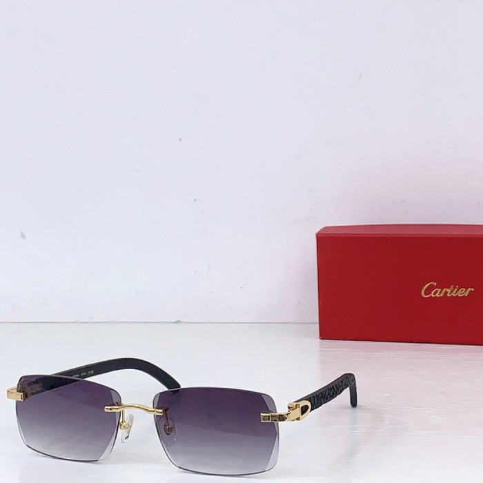 CA SUNGLASSES
