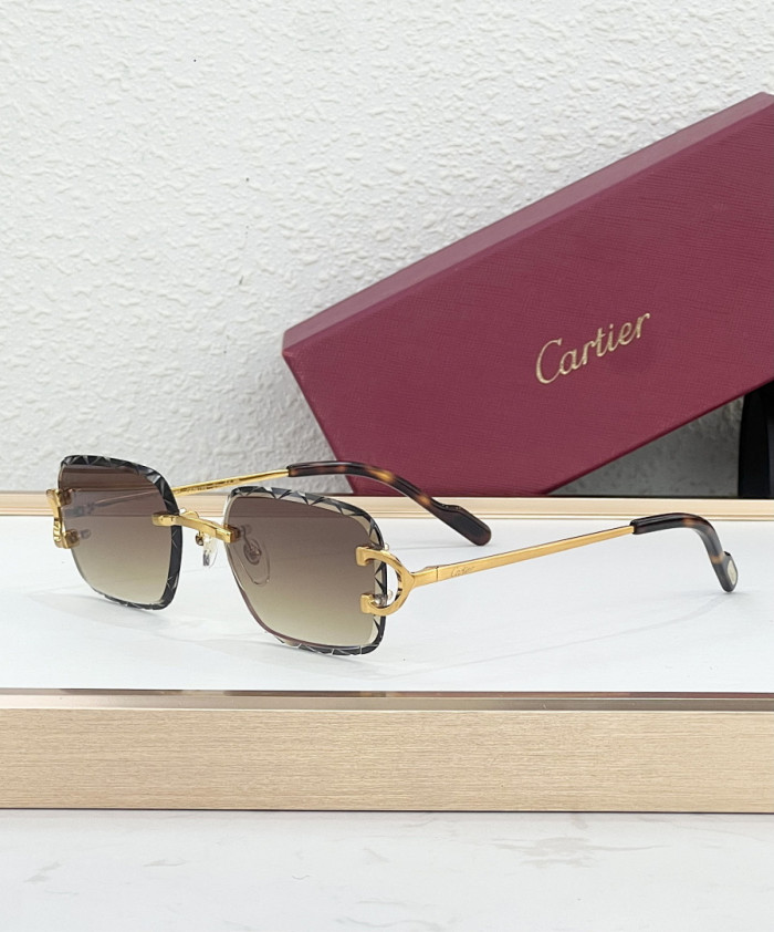 CA SUNGLASSES