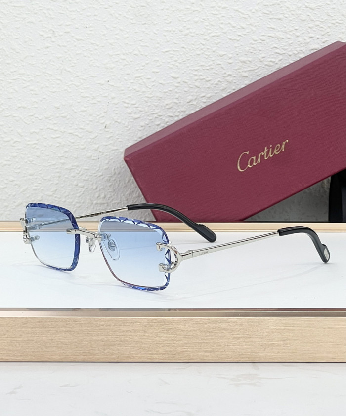 CA SUNGLASSES
