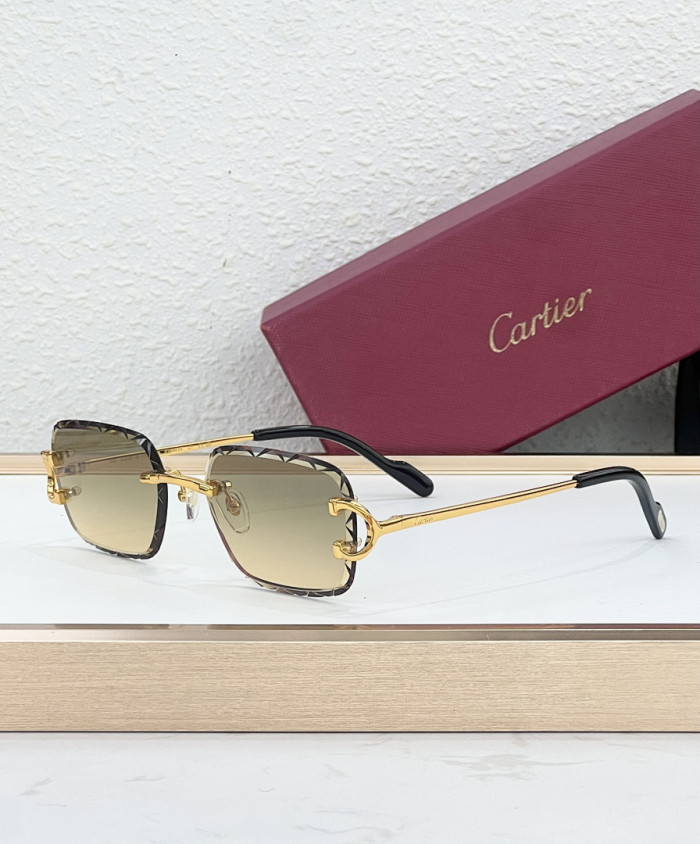 CA SUNGLASSES