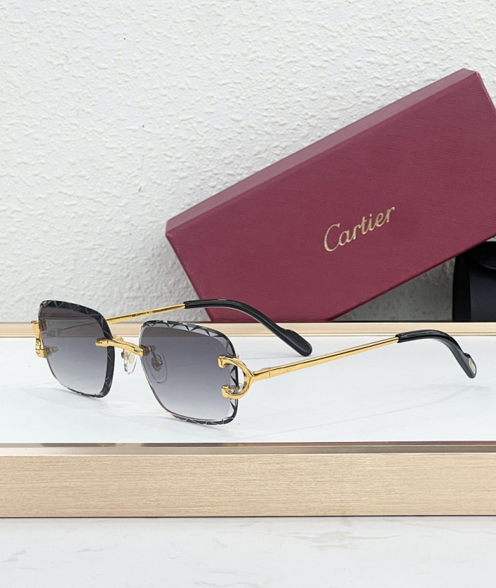 CA SUNGLASSES