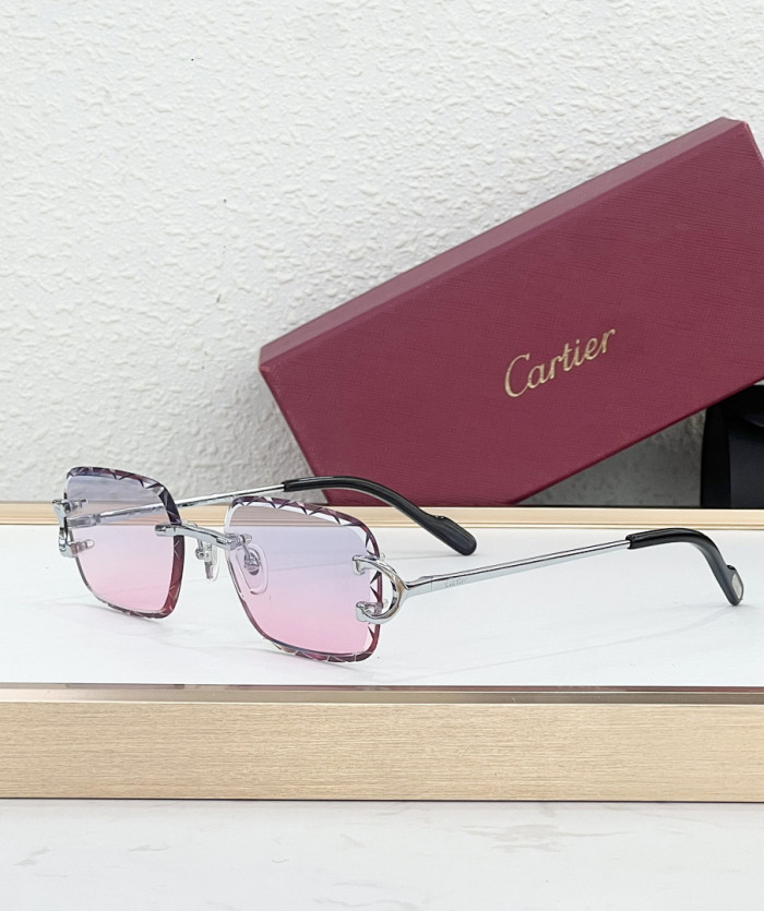 CA SUNGLASSES