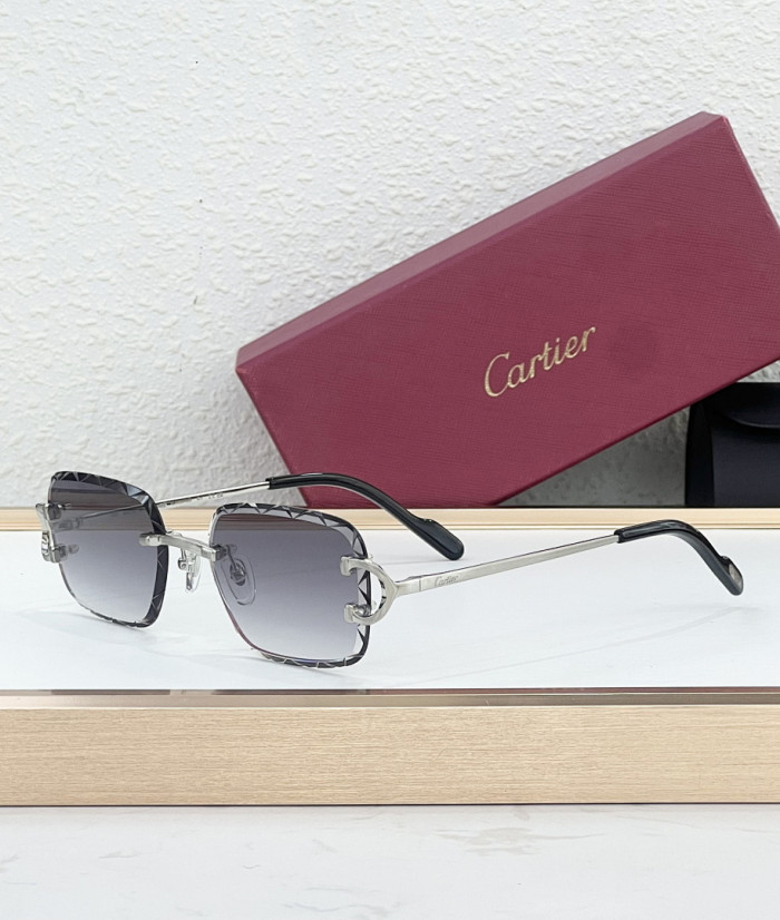CA SUNGLASSES