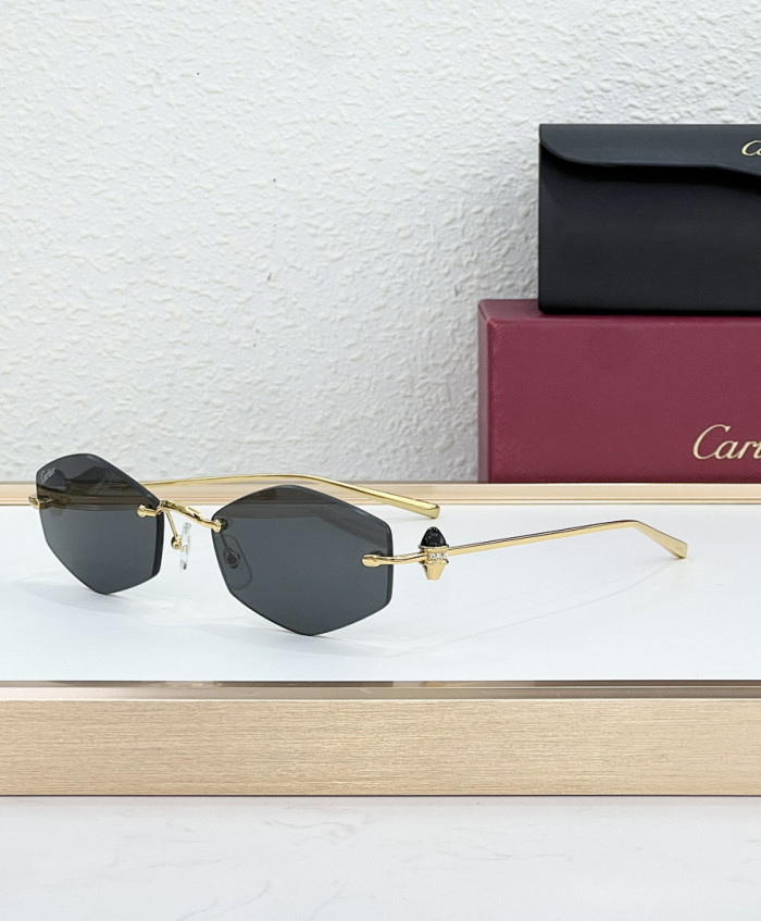CA SUNGLASSES