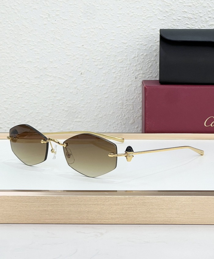 CA SUNGLASSES