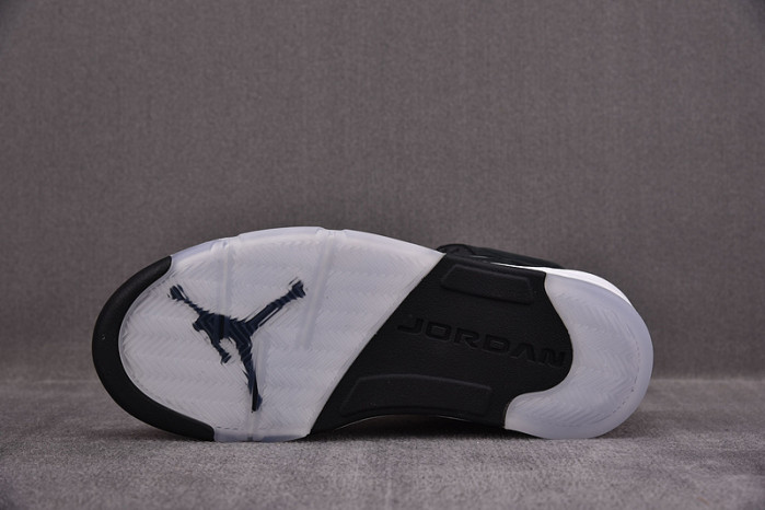 Air Jordan 5 Retro Moonlight (2021) CT4838-011