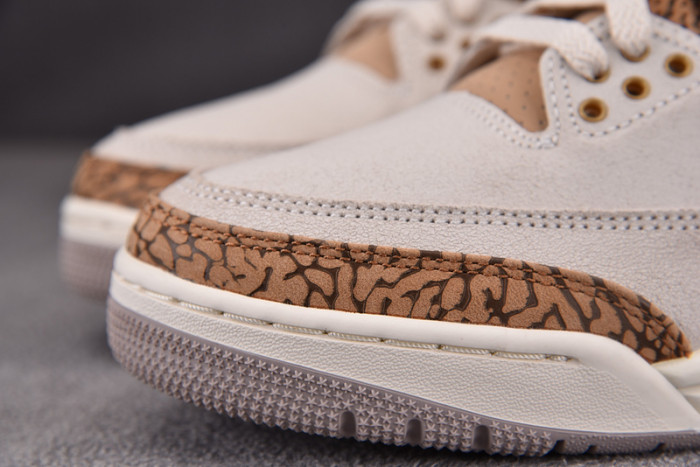 Air Jordan 3 “Palomino” CT8532-102