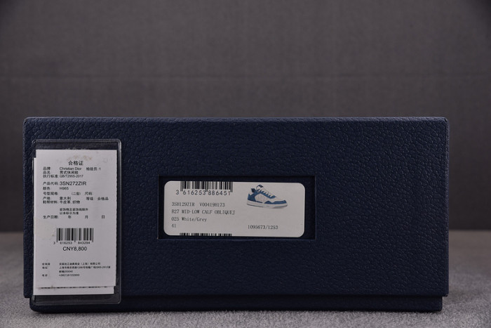 D10R B27 LOW SNEAKER