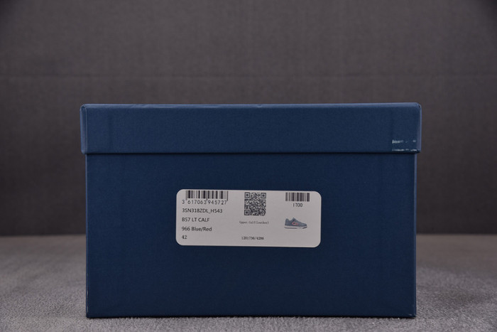 D10R B57 LOW SNEAKER