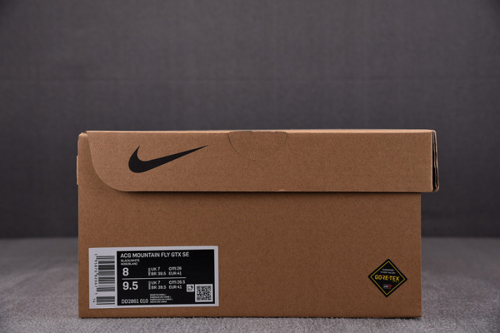 NK ACG Mountain Fly Low GTX SE DD2861-010