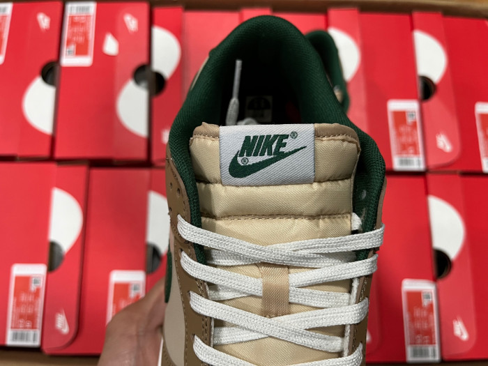 Nike Dunk Low Retro FB7160-231