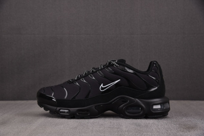 Nike Air Max Plus Black Blue Red  DZ4509-001