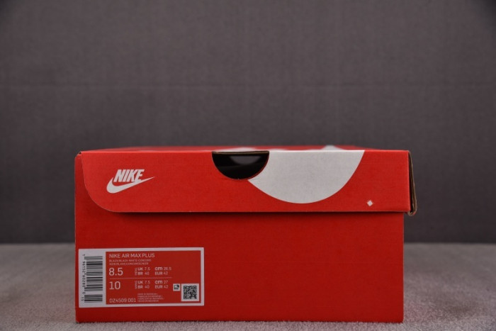 Nike Air Max Plus Black Blue Red  DZ4509-001