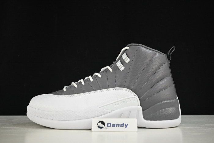 AIR JORDAN 12 STEALTH/WHITE-COOL GREY CT8025-610