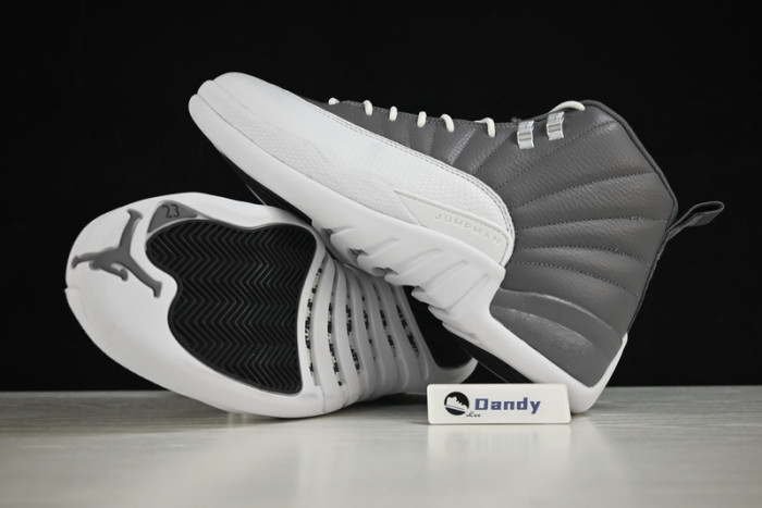 AIR JORDAN 12 STEALTH/WHITE-COOL GREY CT8025-610