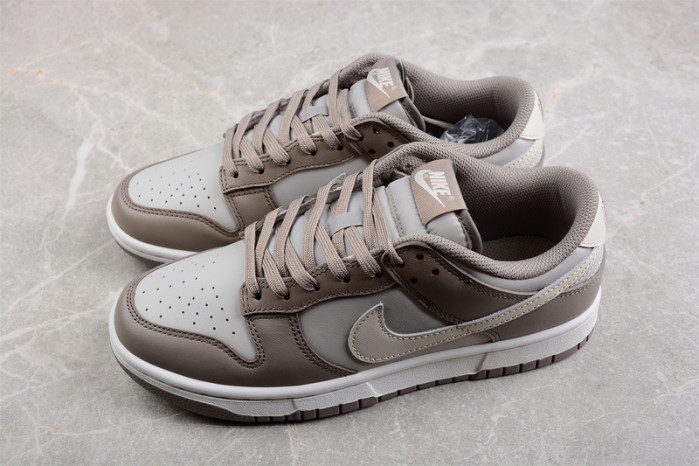 Nike Dunk Low Style FD0792-001