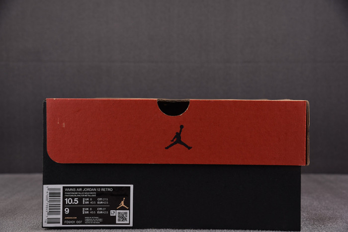 Air Jordan 12 Retro Phantom (Women