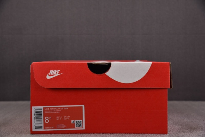 Nike Air Max Plus PSG Paris Saint-Germain Black Particle Grey  IB2253-001