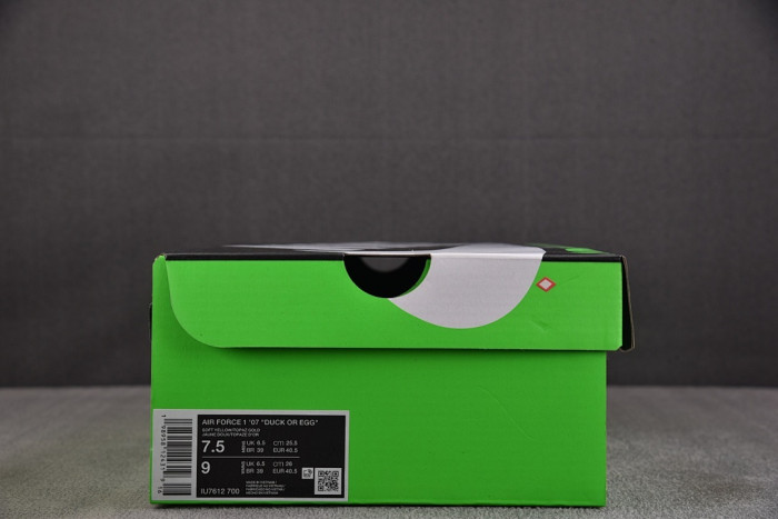 Nike Air Force 1 Low Ducks of a Feather University of Oregon Duck or Egg IU7612-700