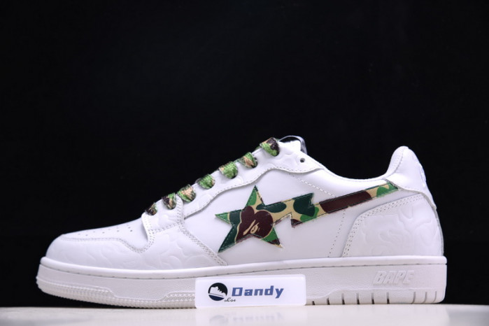 BAPE Shoe