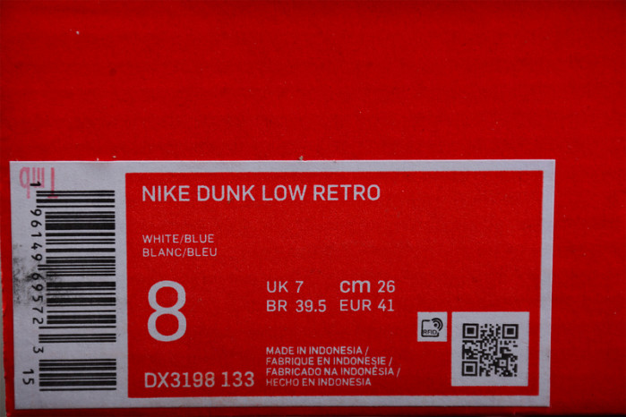NIKE DUNK LOW RETRO DX3198-13